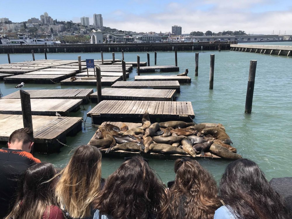 First slide